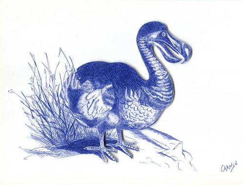 Dodo in 3d